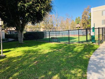 A tree is in the corner of a grassy area.